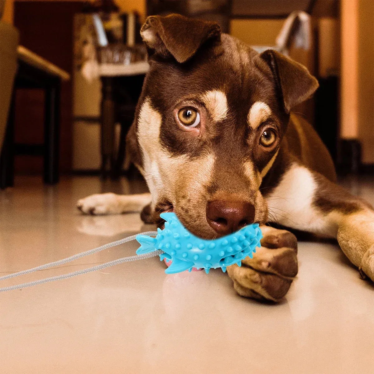 Dog Chew Toys Durable Non Toxic TPR Material for Dogs Puppies Teething Training