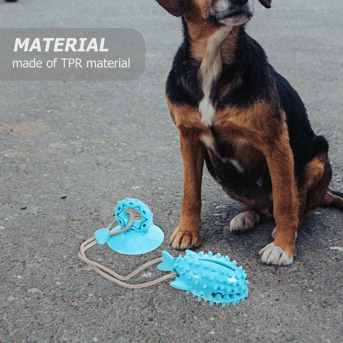 Dog Chew Toys Durable Non Toxic TPR Material for Dogs Puppies Teething Training