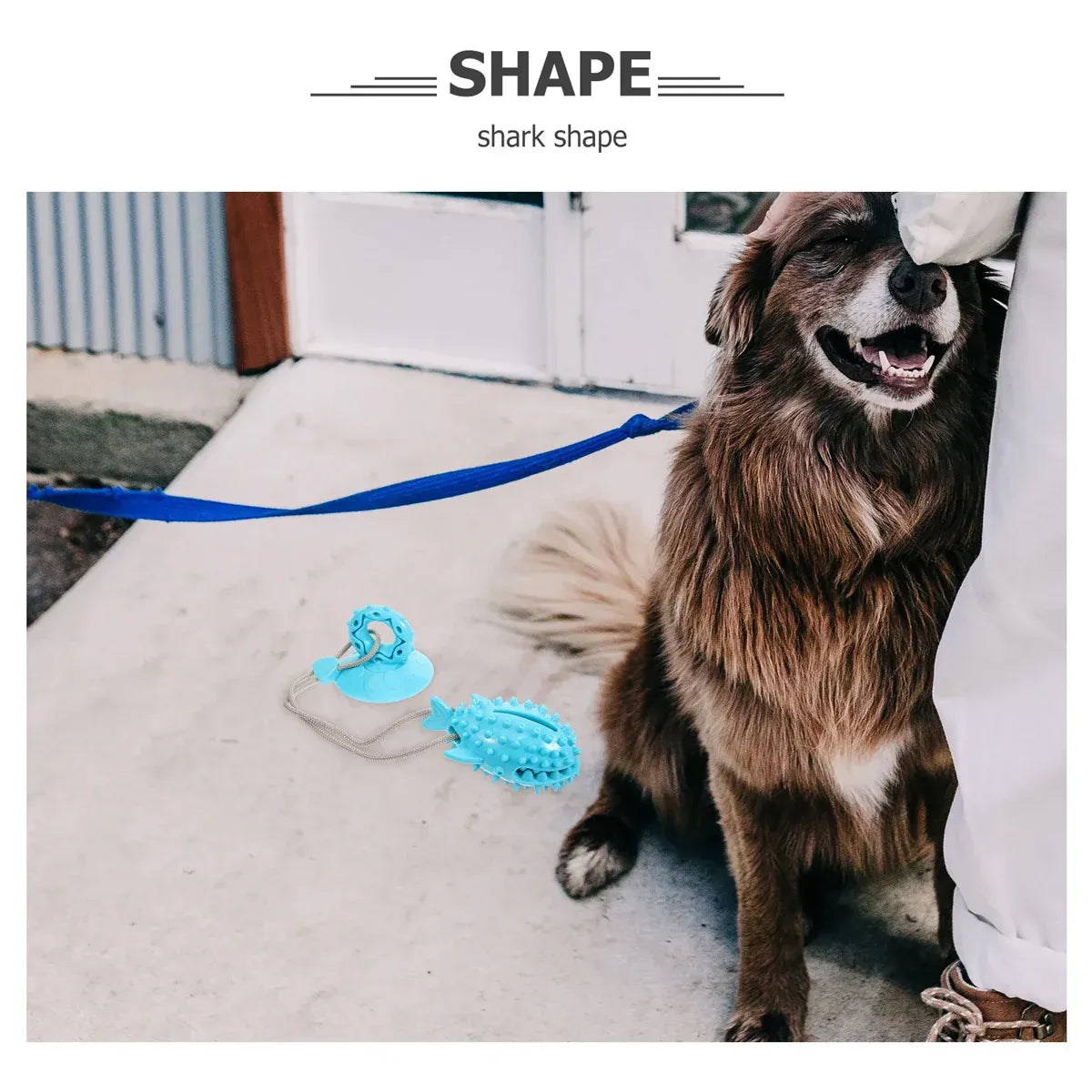 Dog Chew Toys Durable Non Toxic TPR Material for Dogs Puppies Teething Training