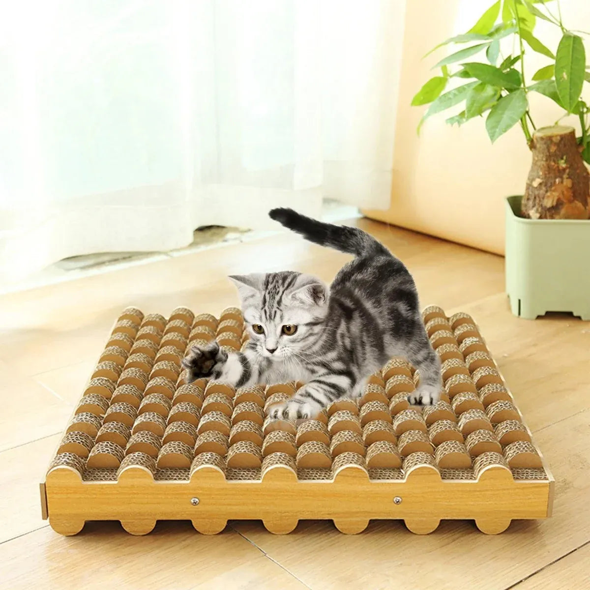 Cat Entertainment Corrugated Scratching Board Cat Toy Anti Scratch Durable - Upgraded Model