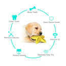 Pet Starfish Floating Dog Toy Audible Water Toy for Dogs Interactive Play Fun - Lake Blue