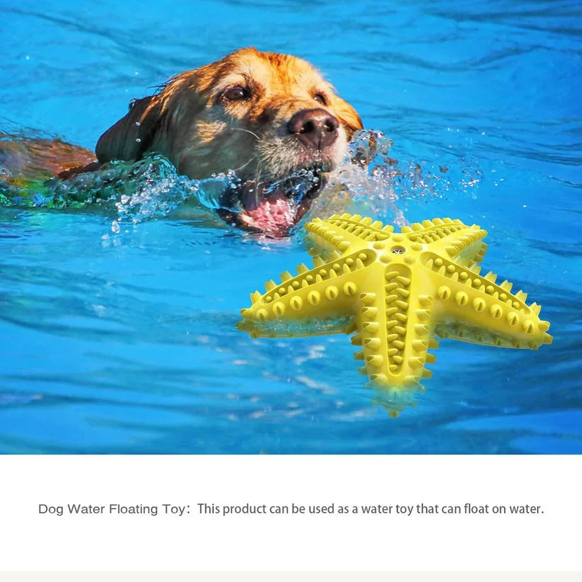 Pet Starfish Floating Dog Toy Audible Water Toy for Dogs Interactive Play Fun - Lake Blue