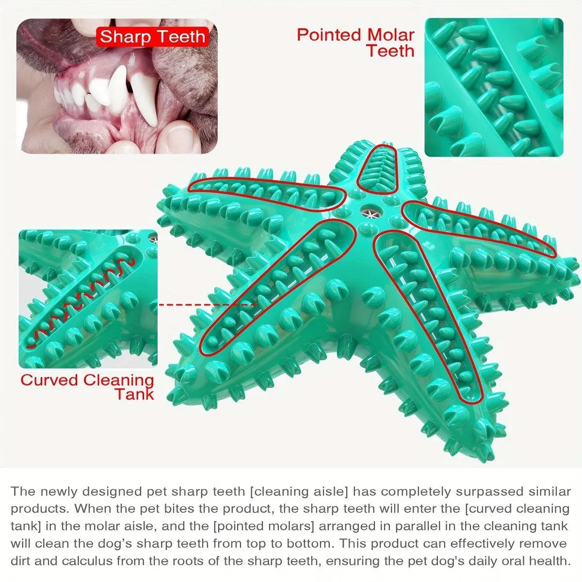 Pet Starfish Floating Dog Toy Audible Water Toy for Dogs Interactive Play Fun - Lake Blue