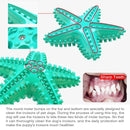 Pet Starfish Floating Dog Toy Audible Water Toy for Dogs Interactive Play Fun - Yellow