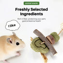 Rabbit Chinchilla Chew Toy Molar Toy Safe Non Toxic Promotes Dental Health