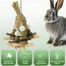 Rabbit Chinchilla Chew Toy Molar Toy Safe Non Toxic Promotes Dental Health