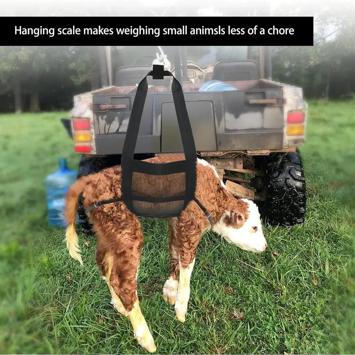 Animal Weighing Bag Hanging Scale Sling Livestock Pet Harness Straps for Farm