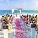 1000 PCS Silk Rose Petals Elegant Wedding or Event Decoration - Light Purple