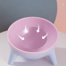 Raised Cat Bowl Pet Feeder Pet Bowl Elevated Dog Bowls 15° Tilted Pet Water Bowl - Moff Green
