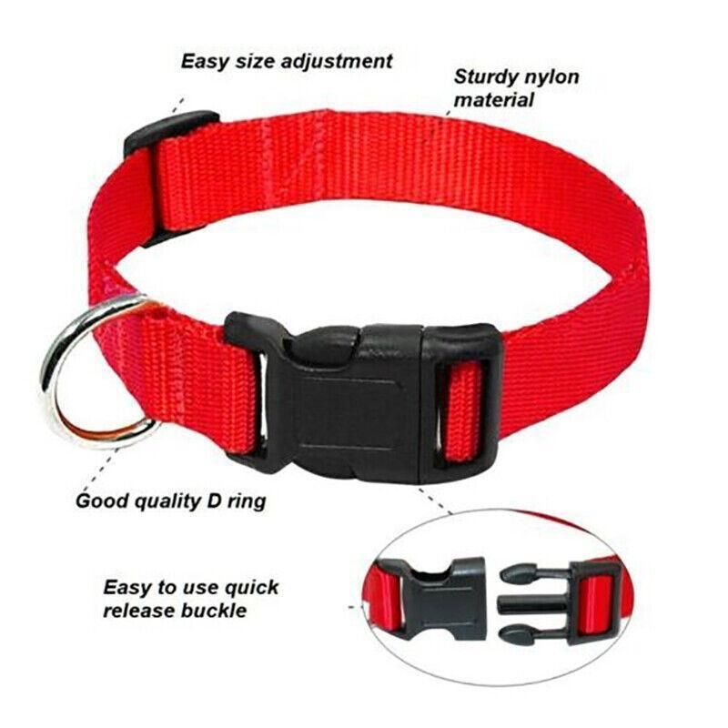 S Size Dog Puppy Pet Collar Adjustable Nylon Toy Small Pink Blue Red Black - Black