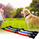 S Size Dog Puppy Pet Collar Adjustable Nylon Toy Small Pink Blue Red Black - Blue