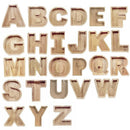 Wooden Piggy Bank Funny Letter or Guitar Coin Saving Money Box A–Z Gift Idea - G