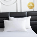 1 White Pillow Insert, 48 x 74 cm