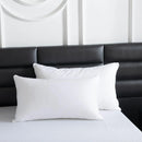 1 White Pillow Insert, 48 x 74 cm