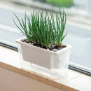 Balcony Vegetable Pot Planter Lazy Self Priming Flower Pot for Indoor Gardening - Green