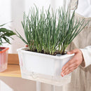 Balcony Vegetable Pot Planter Lazy Self Priming Flower Pot for Indoor Gardening - Green