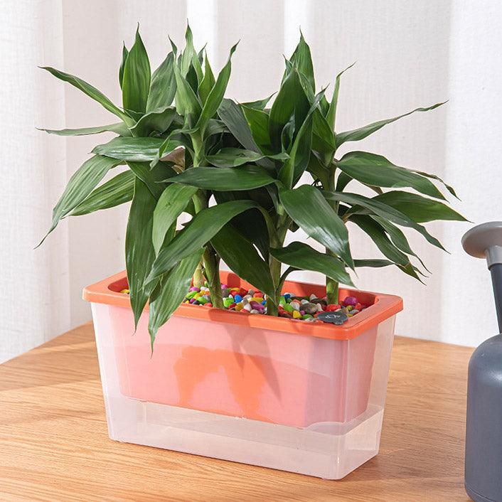 Balcony Vegetable Pot Planter Lazy Self Priming Flower Pot for Indoor Gardening - Green