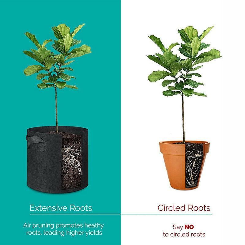 10 Pack Breathable Fabric Plant Grow Pots 2 to 20 Gallon Sizes - 10 Gallon-10PCS