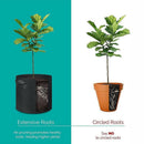 10 Pack Breathable Fabric Plant Grow Pots 2 to 20 Gallon Sizes - 10 Gallon-10PCS