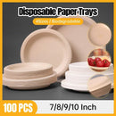 100x Biodegradable Sugarcane Paper Trays - Eco-Friendly & Durable for Food - 9inches-100pcs