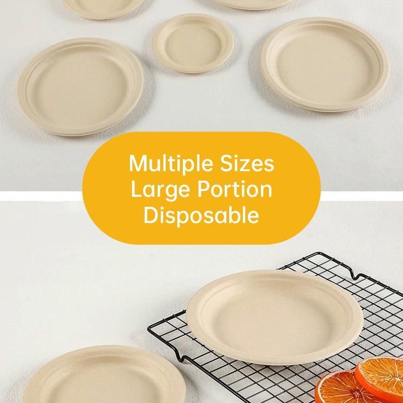 100x Biodegradable Sugarcane Paper Trays - Eco-Friendly & Durable for Food - 9inches-100pcs
