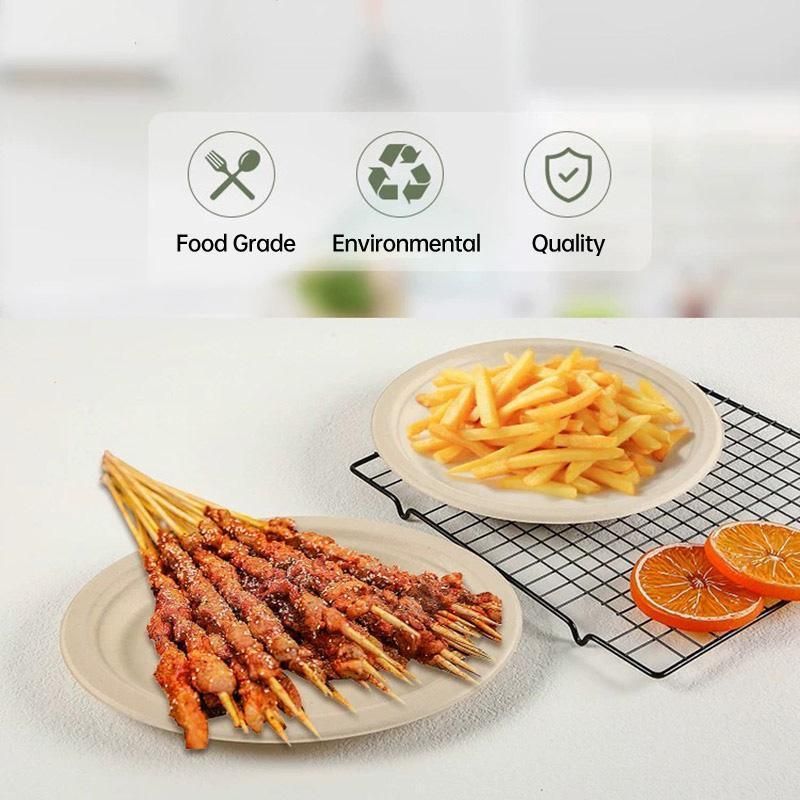 100x Biodegradable Sugarcane Paper Trays - Eco-Friendly & Durable for Food - 9inches-100pcs