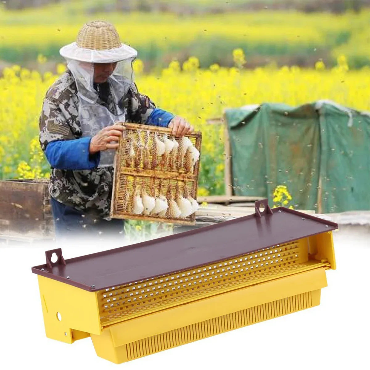 Beekeeping Pollen Trap Box Remover Beehive Collector Tool Plastic Collection Box