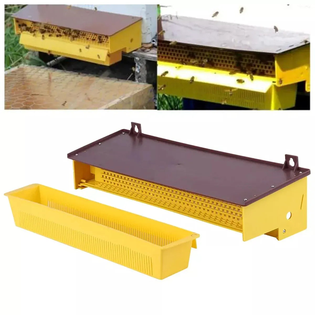 Beekeeping Pollen Trap Box Remover Beehive Collector Tool Plastic Collection Box