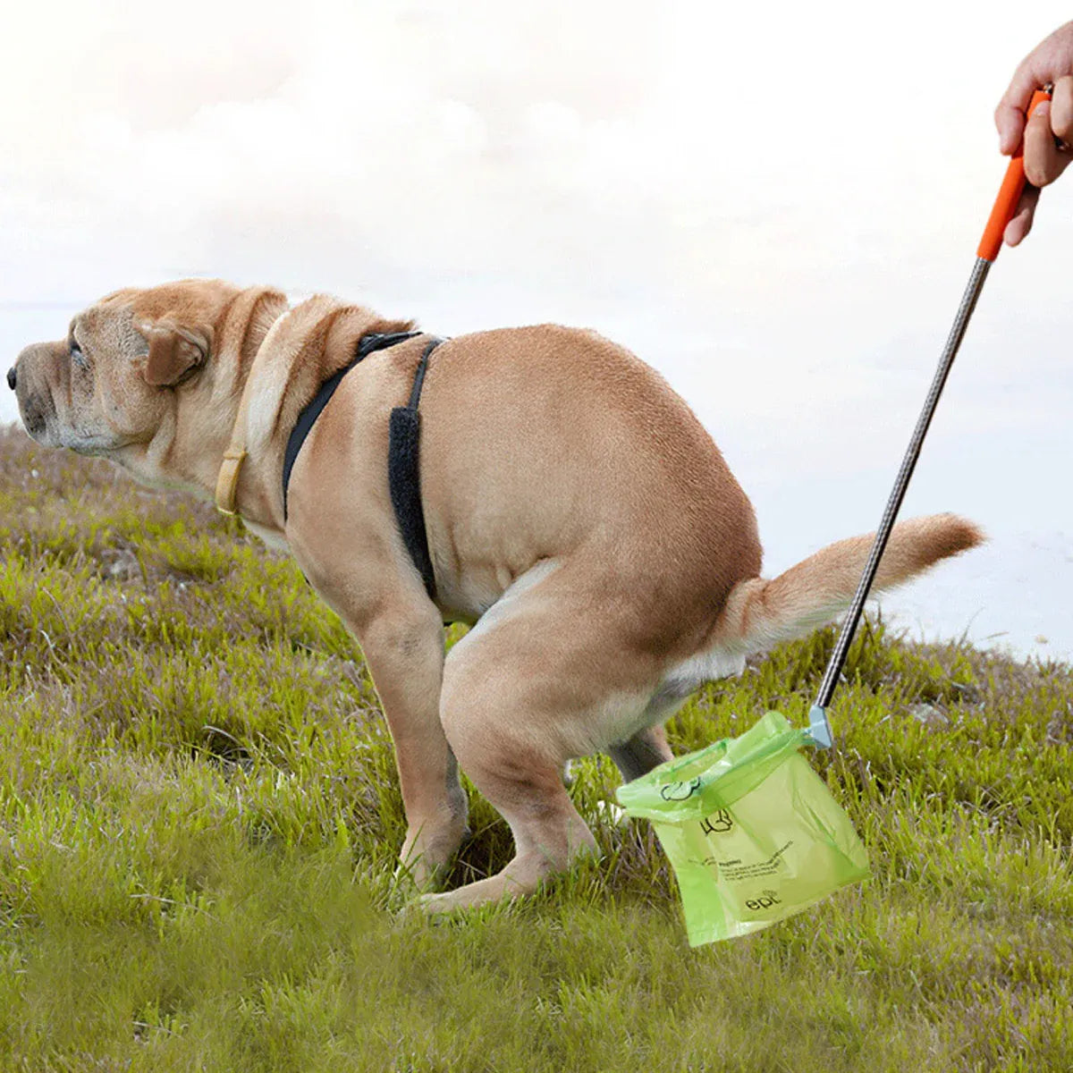Portable Poop Picker Non Slip Handle Waste Bag Holder for Outdoor Cleaning Use