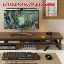 Monitor Stand Riser Desktop Shelf Organizer with Storage Mesh for PC Laptop