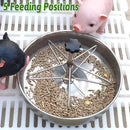 Piglet Feeding Trough Stainless Steel Round Basin Feeder Bowl for Farm Livestock