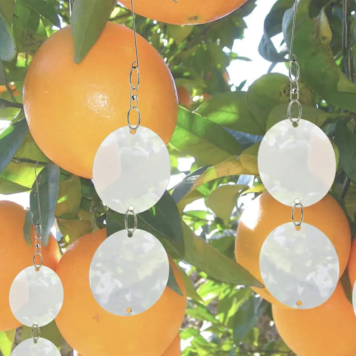 8 PCS Bird Repellent Reflector Mirror Outdoor Farm Hanging Bird Scare Device - Round Hanging