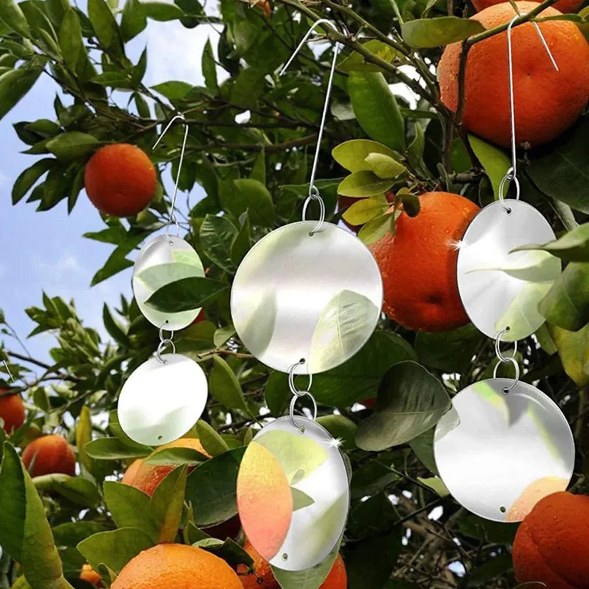 8 PCS Bird Repellent Reflector Mirror Outdoor Farm Hanging Bird Scare Device - Owl Hanging
