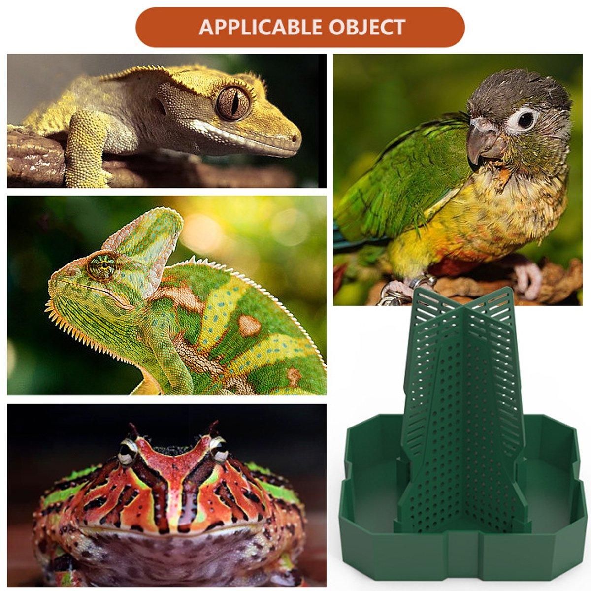Reptile Anti Escape Feeding Basin Self Catch Feeder for Lizard Snake Pet Care - Green-L