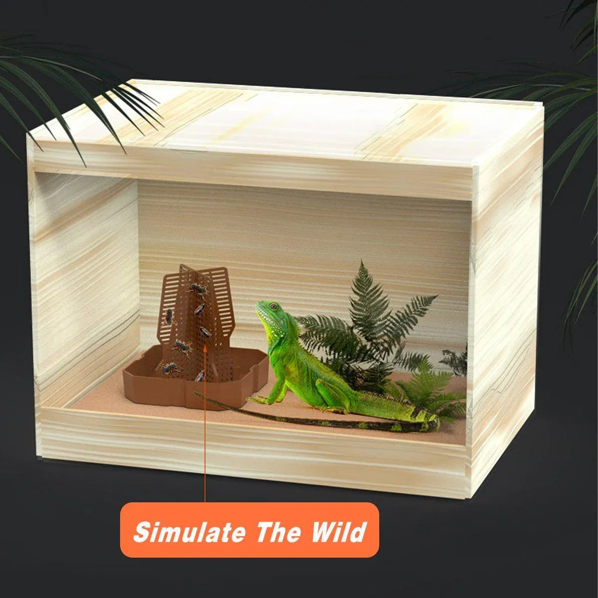 Reptile Anti Escape Feeding Basin Self Catch Feeder for Lizard Snake Pet Care - Green-L