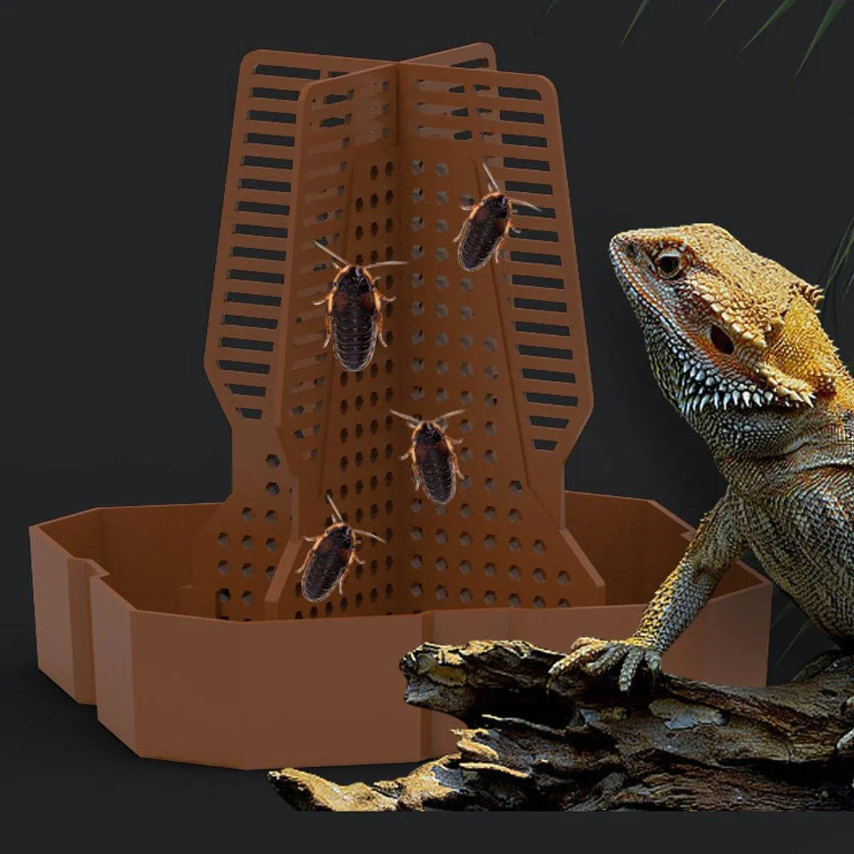 Reptile Anti Escape Feeding Basin Self Catch Feeder for Lizard Snake Pet Care - Green-L