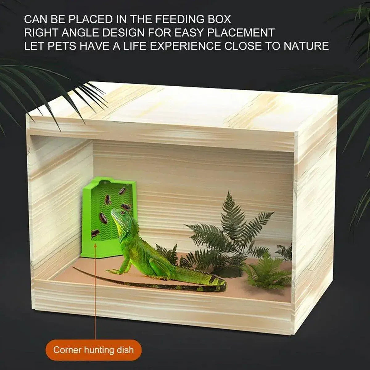 Reptile Hunting Dish Predator Trap Hanging and Placing Field Tool for Outdoors - L