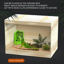 Reptile Hunting Dish Predator Trap Hanging and Placing Field Tool for Outdoors - L