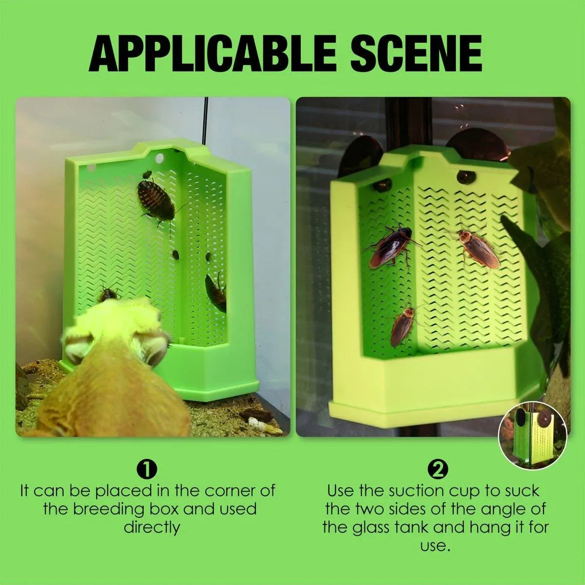 Reptile Hunting Dish Predator Trap Hanging and Placing Field Tool for Outdoors - L