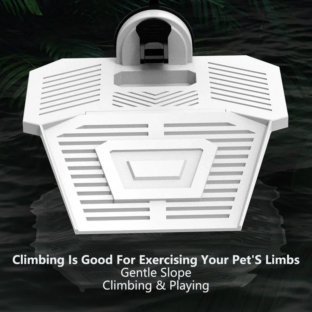 Turtle Basking Platform Fish Tank Climbing Ramp Aquascape Ladder Ramp for Pets - L