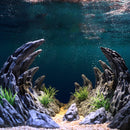 Aquarium Resin Dragon Stone Rock Decorative Ornaments Fish Tank Landscape - Dragon Valley 3