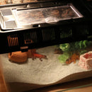 Pet Sand for Tortoises Snakes Lizards Spiders Multi-colour Reptile Habitat Decor - Yellow