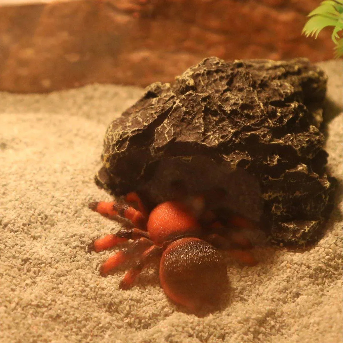 Pet Sand for Tortoises Snakes Lizards Spiders Multi-colour Reptile Habitat Decor - Yellow