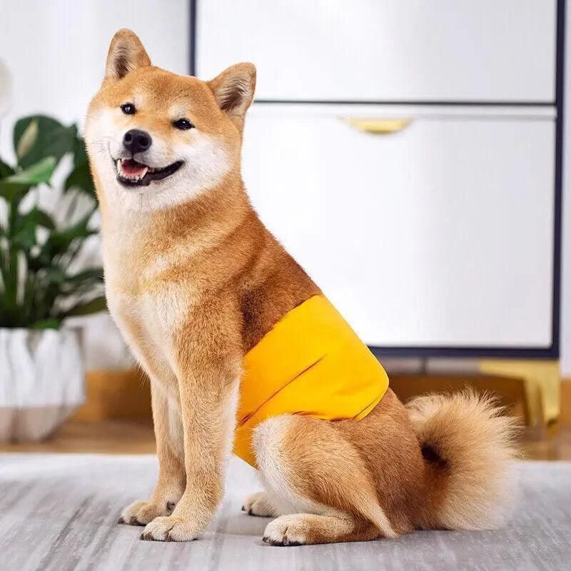 XL Male Dog Puppy Nappy Diaper Belly Wrap Band Sanitary Pants Underpants - Green