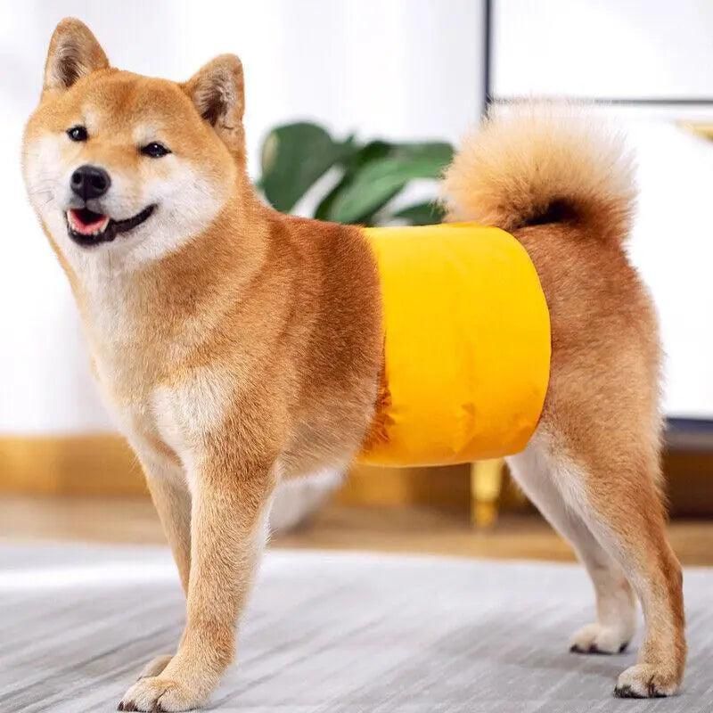 XL Male Dog Puppy Nappy Diaper Belly Wrap Band Sanitary Pants Underpants - Green