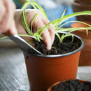 20Pcs Plastic Plant Pots Nursery Garden Seedling Flower Growing Containers - BN210-20x17.3cm