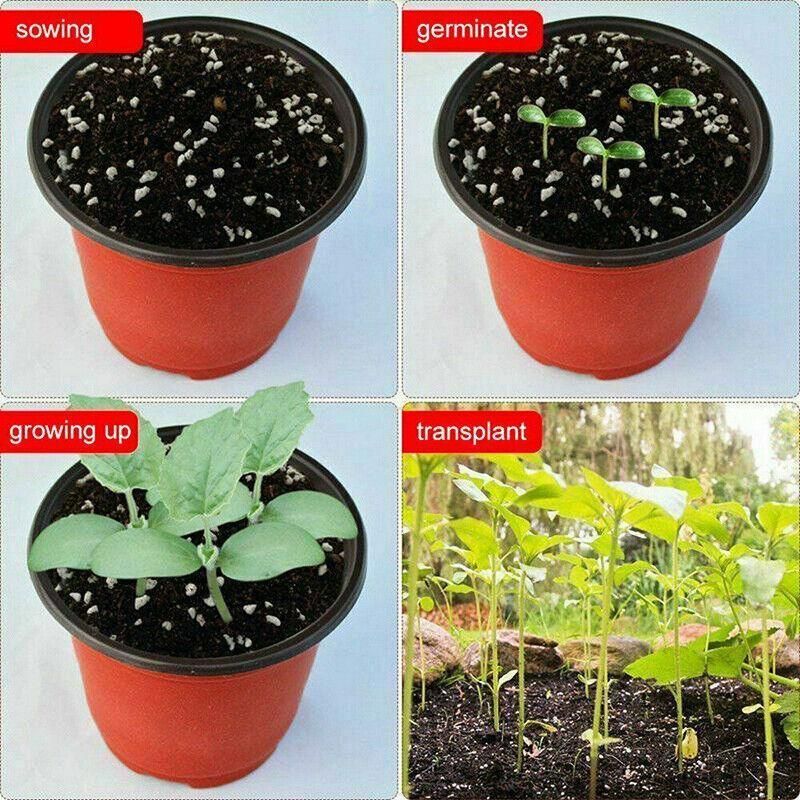 20Pcs Plastic Plant Pots Nursery Garden Seedling Flower Growing Containers - BN210-20x17.3cm