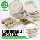 100X Food Preparation Burger Storages Cake Packaging Box Lunch Boxes - 1300ml-Primary