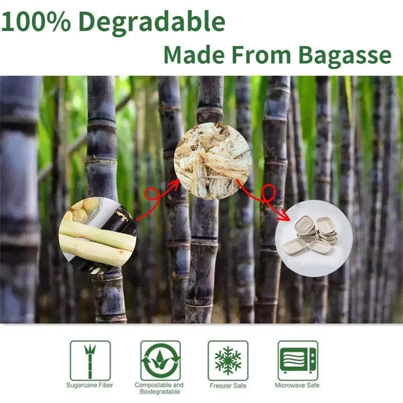 100X Food Preparation Burger Storages Cake Packaging Box Lunch Boxes - 1300ml-Primary