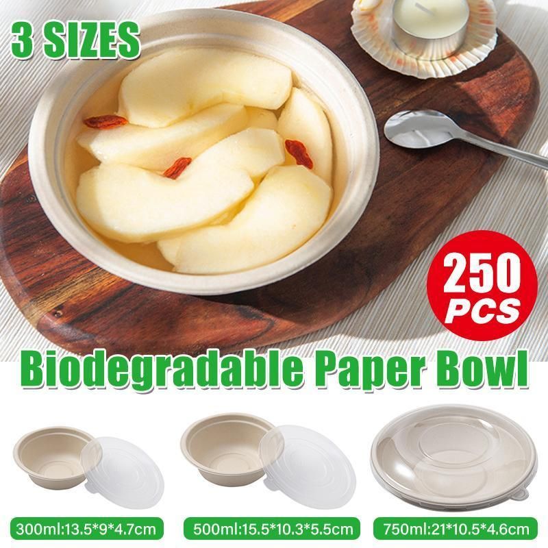 250PCS Food Preparation Burger Storages Cake Packaging Box Lunch Boxes Primary - Primary 350ml+PP lid